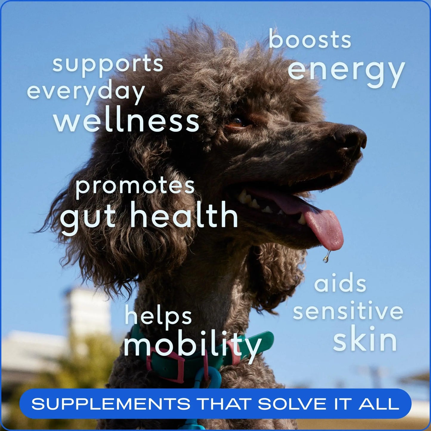 The Daily Health Scoop