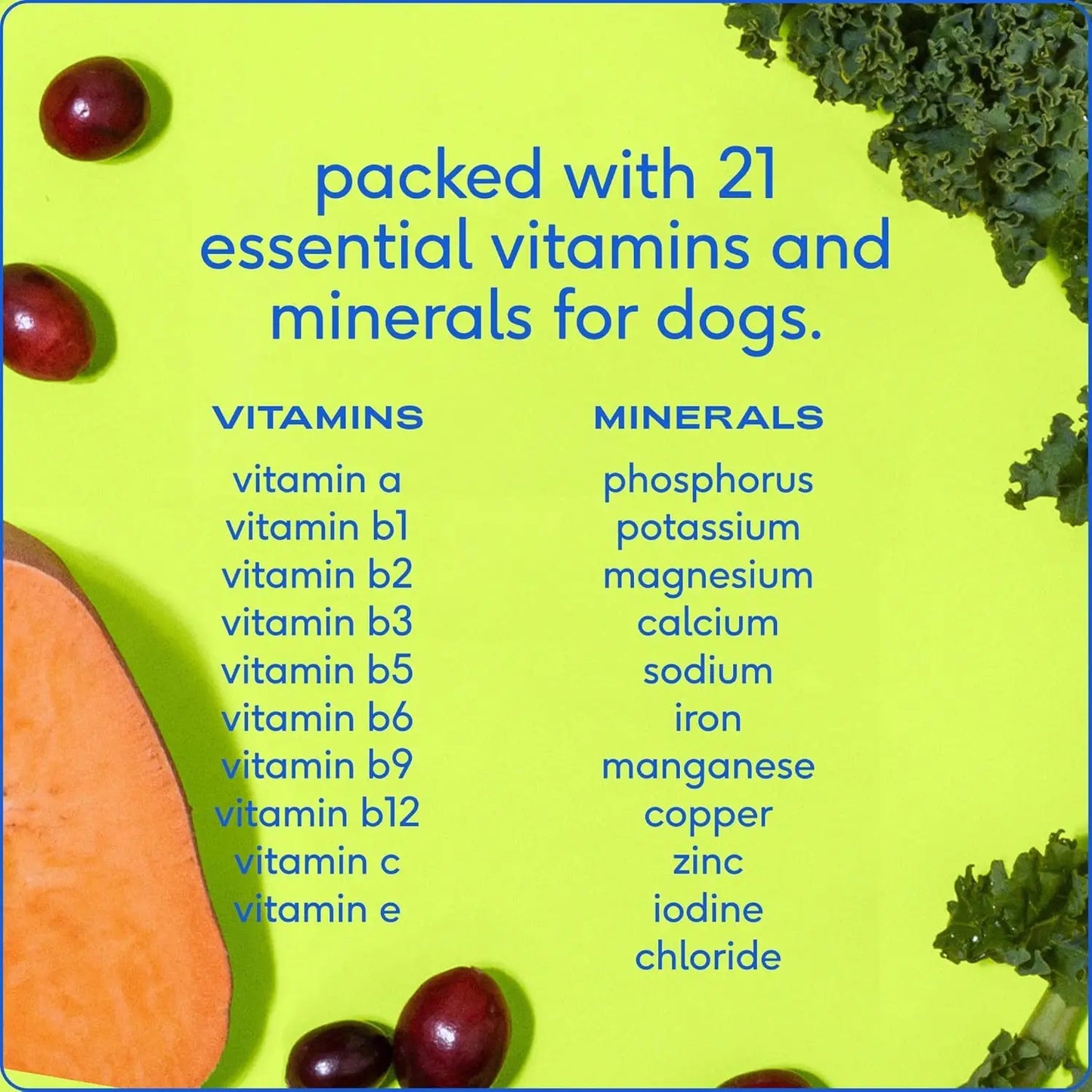 The Daily Health Scoop