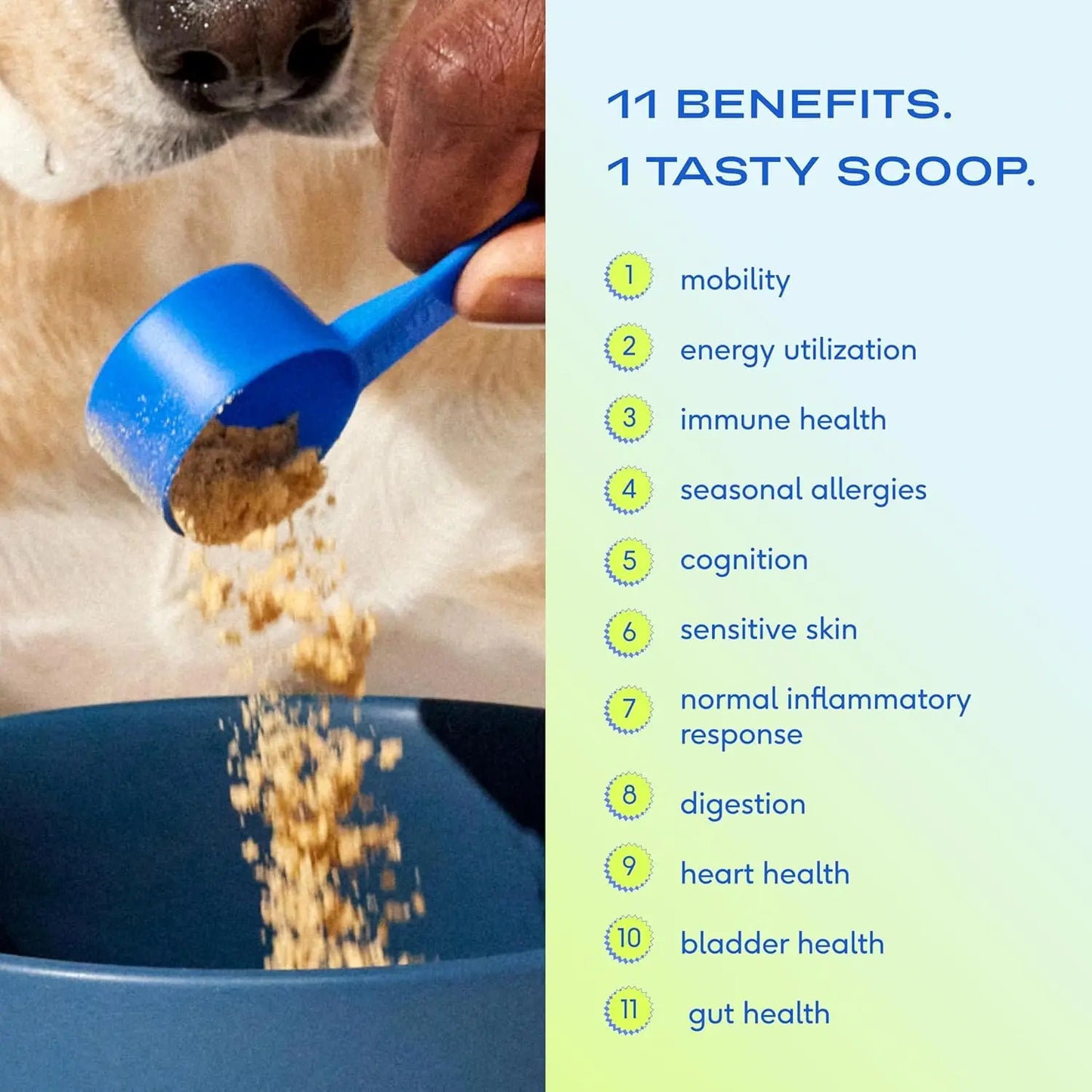The Daily Health Scoop
