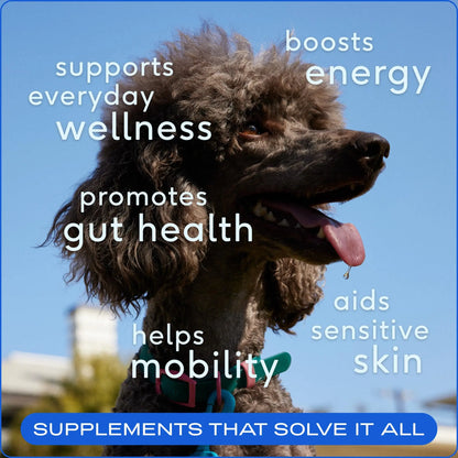 The Daily Health Scoop
